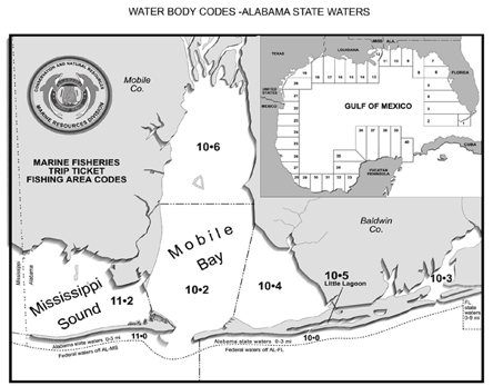 Alabama Water Body Codes