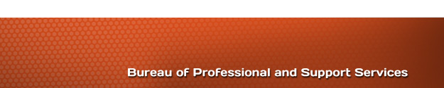Footer Image
