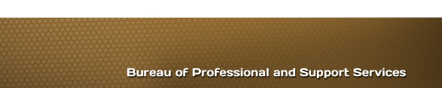 Footer Image