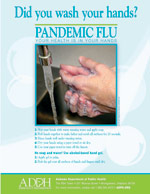 Did you wash your hands? Poster